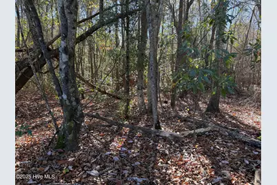0 Macedonia Church Road, Evergreen, NC 28438 - Photo 17