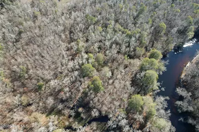 0 Macedonia Church Road, Evergreen, NC 28438 - Photo 7