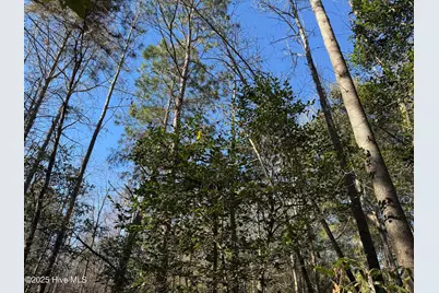 0 Macedonia Church Road, Evergreen, NC 28438 - Photo 21