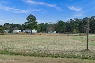 88 Hillside St, Clarkton, NC 28433 - Photo 9