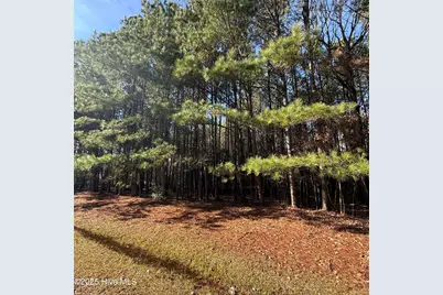 113 Wilson Way, Hertford, NC 27944 - Photo 1