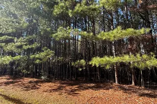 113 Wilson Way, Hertford, NC 27944 - Photo 1