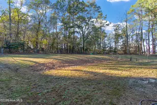 50 Irvin Enzor Rd S, Fair Bluff, NC 28439 - Photo 5