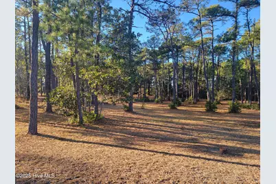 6727 Dunlowe Notch SW, Ocean Isle Beach, NC 28469 - Photo 3