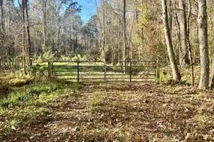 0 Near 5727 Red Hill, Whiteville, NC 28472 - Photo 1