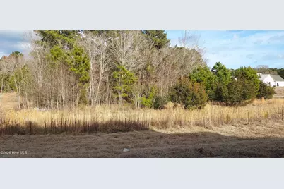 118 Cripple Creek Drive, Swansboro, NC 28584 - Photo 3