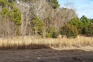 118 Cripple Crk Dr, Swansboro, NC 28584 - Photo 3