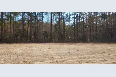 110 Rolling  Water Lane, Swansboro, NC 28584 - Photo 5