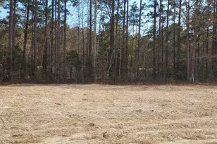 110 Rolling Water Ln, Swansboro, NC 28584 - Photo 5