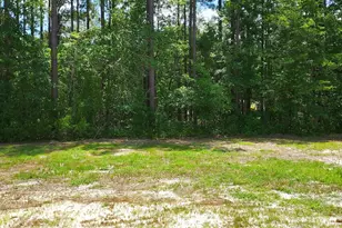 114 Rolling Water Ln, Swansboro, NC 28584 - Photo 3