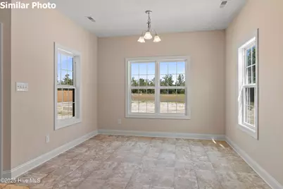 716 Puppy Drum Lane, Maysville, NC 28555 - Photo 19