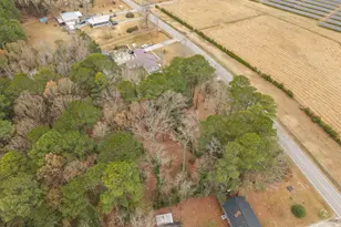 2671 Harts Mill Run Rd, Tarboro, NC 27886 - Photo 53