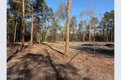 4403 Smith Trail NE, Leland, NC 28451 - Photo 1