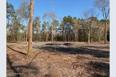 4403 Smith Trail NE, Leland, NC 28451 - Photo 5