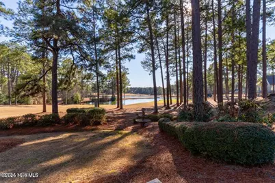 50 Cochrane Castle Circle, Pinehurst, NC 28374 - Photo 47