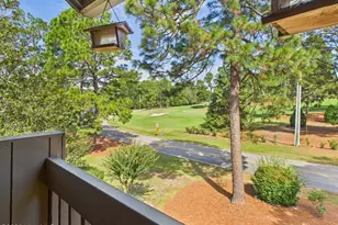 250 Sugar Gum Ln, Pinehurst, NC 28374 - Photo 27