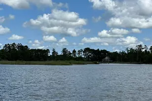 342 Battalina Ln, Belhaven, NC 27810 - Photo 1