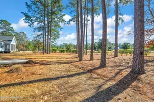 9614 Hidden Plum Rd NE, Leland, NC 28451 - Photo 37