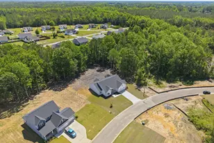 2939 Tucker Hl Dr, Grimesland, NC 27837 - Photo 49