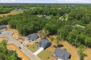 2980 Tucker Hl Dr, Grimesland, NC 27837 - Photo 37