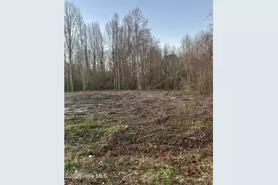 9585 Shallow Creek Trail, Bailey, NC 27807 - Photo 1