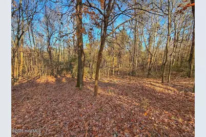 0 Mabry Mill Road, Henderson, NC 27537 - Photo 21