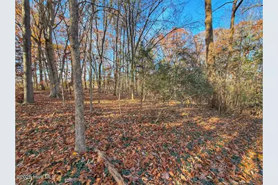 0 Mabry Mill Road, Henderson, NC 27537 - Photo 35
