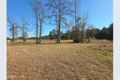 310 Lays Lake Drive, Tabor City, NC 28463 - Photo 1