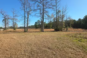 310 Lays Lake Dr, Tabor City, NC 28463 - Photo 1