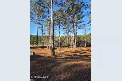 7483 Donegal Circle SW, Sunset Beach, NC 28468 - Photo 5