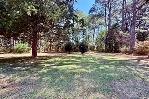 113 Horseshoe Dr, Goldsboro, NC 27534 - Photo 65