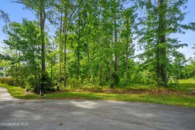 166 Marsh Run, Oriental, NC 28571 - Photo 3