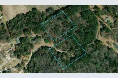 0 Off Sr 1311, Washington, NC 27889 - Photo 1