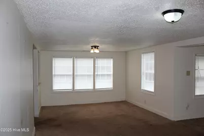 314 Bland Street, Wilmington, NC 28401 - Photo 27