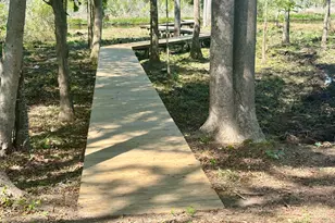 263 Treasure Point Rd, Bath, NC 27808 - Photo 27