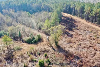 Tbd Moon Johnson Road, Roseboro, NC 28382 - Photo 7