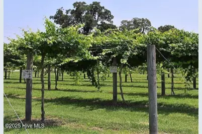 429 Driftwood Drive #Lot 41, Richlands, NC 28574 - Photo 33