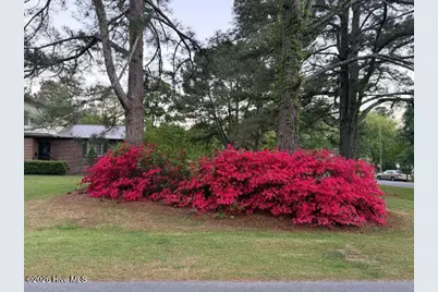 604 Eleanor Street, Greenville, NC 27858 - Photo 3