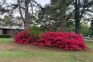 604 Eleanor St, Greenville, NC 27858 - Photo 3