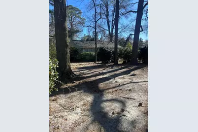 206 Waldrop Road, Dudley, NC 28333 - Photo 49