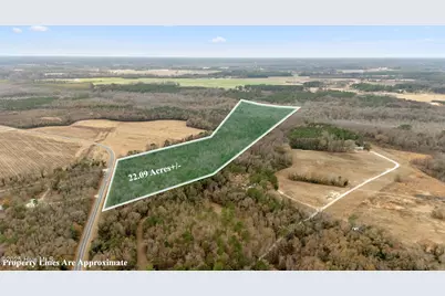 0 Gaddy's Mill Rd, Maxton, NC 28364 - Photo 1