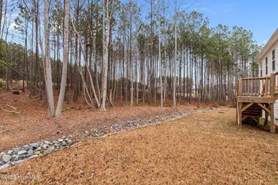 117 Godwin Court, Sanford, NC 27330 - Photo 41