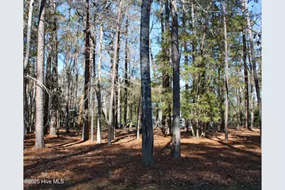 3508 Fairway Crest Drive SW, Shallotte, NC 28470 - Photo 5