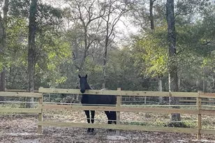 2659 Seashore Rd SW, Supply, NC 28462 - Photo 57