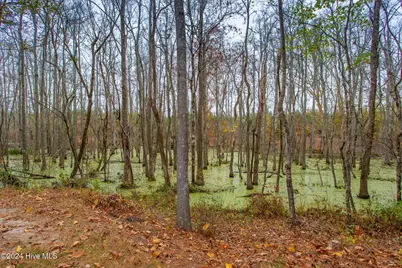 168 Highland Pony Drive, Hertford, NC 27944 - Photo 67