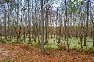 168 Highland Pony Dr, Hertford, NC 27944 - Photo 67