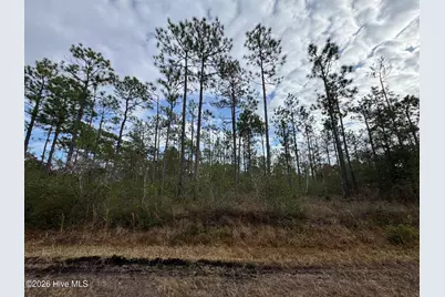 Lot 22 Pepperhill Road, Southport, NC 28461 - Photo 7