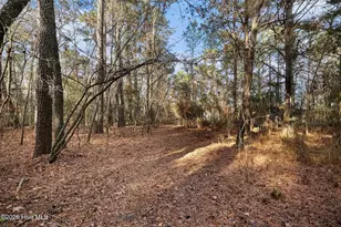 1249 Fann School Rd, Salemburg, NC 28385 - Photo 37