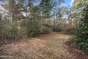 1249 Fann School Rd, Salemburg, NC 28385 - Photo 39