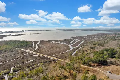 802 Ring Bill Court #Lot 340, Sneads Ferry, NC 28460 - Photo 49